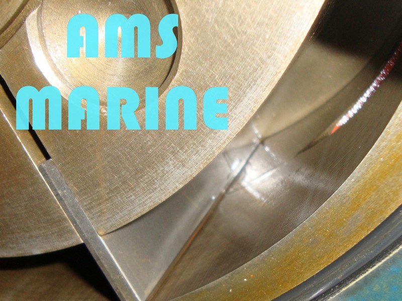 Fukushima FG 318 Fukushima brattvaag, hydraulic pump Fukushima FG 318 Fukushima brattvaag, hydraulic pump