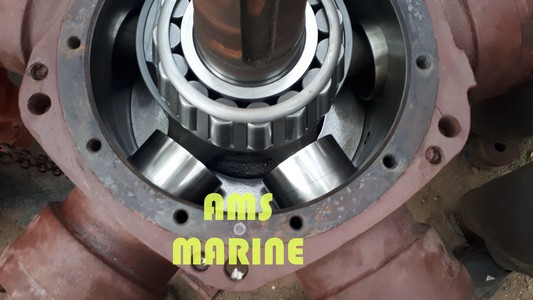 Thumbnail Placeholder